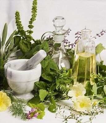 Infusions of medicinal plants for the treatment of varicose veins.
